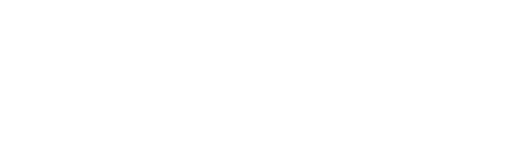 Two Eleven Health white logo