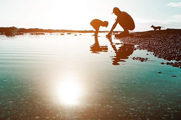 an adult, child, and dog looking into a stream of water